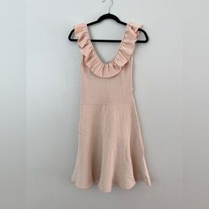 Ted Baker London Blush Ruffle Mini Dress